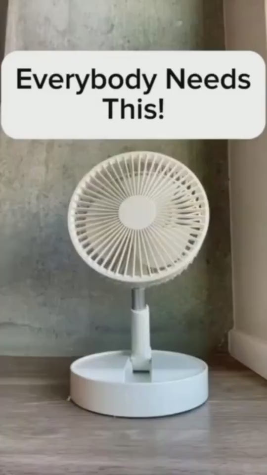 1.mp4